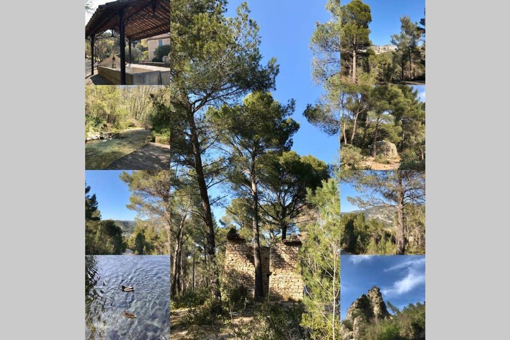 La Mansio Villa LʼIsle-sur-la-Sorgue Екстериор снимка